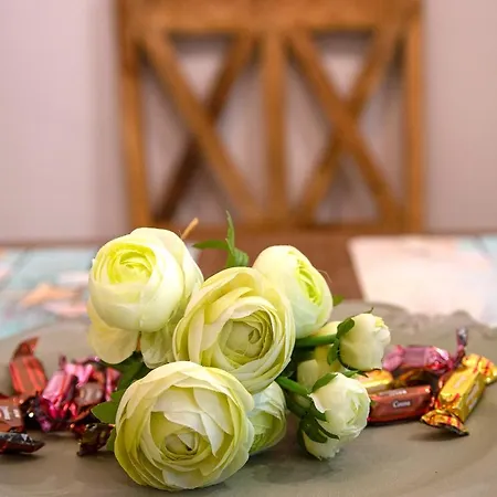 فيلة Family's Nest